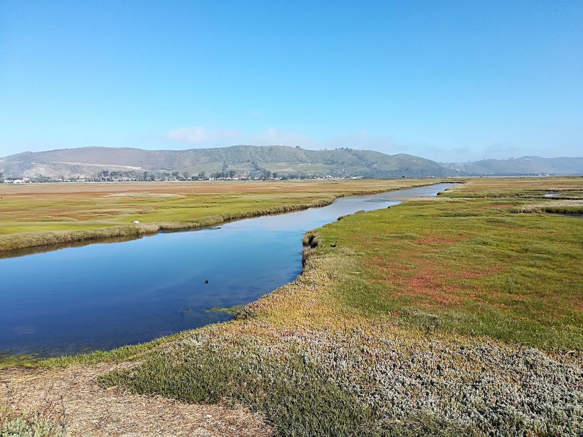 Knysna Herons Guest House Ngoại thất bức ảnh