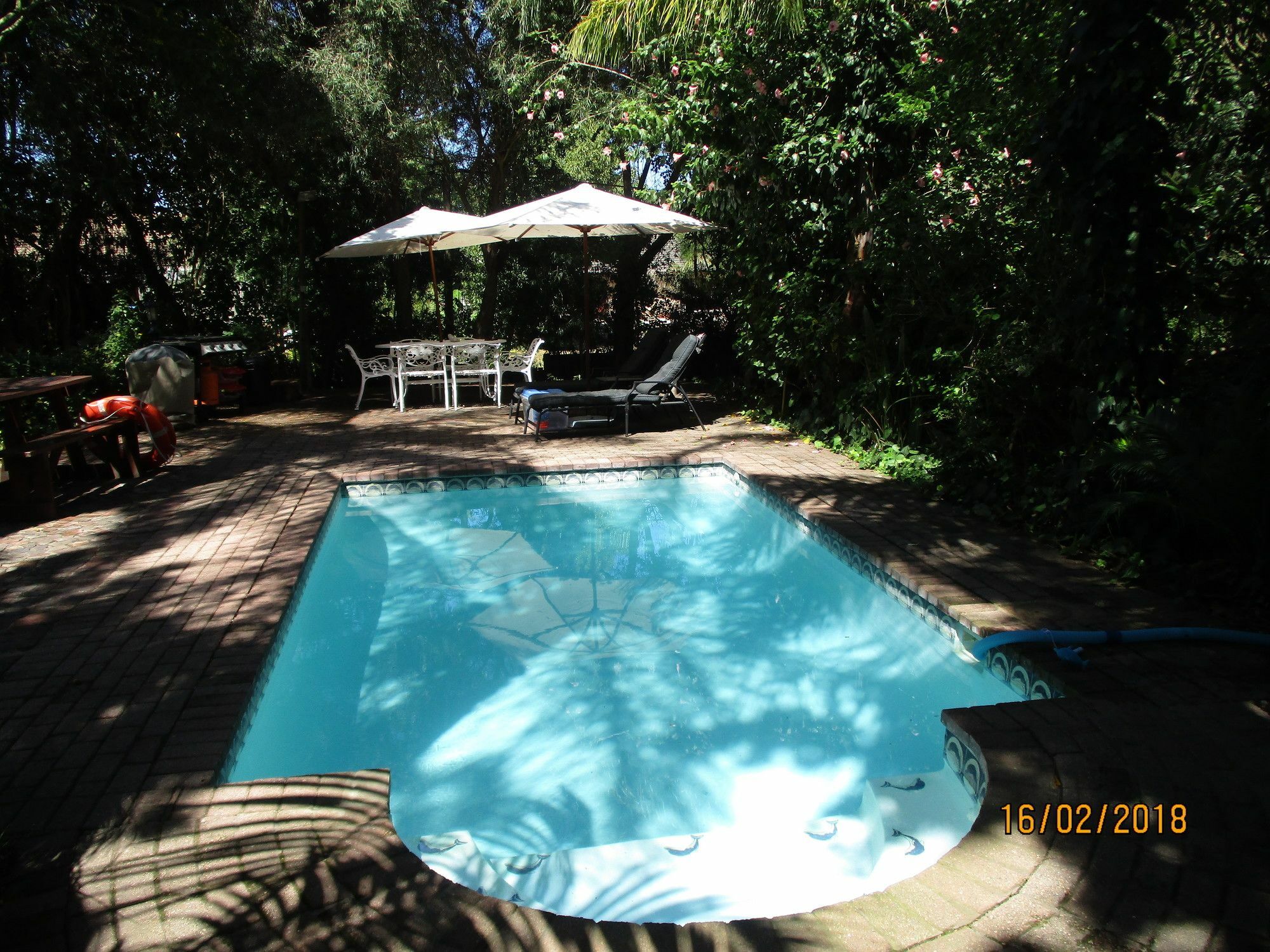 Knysna Herons Guest House Ngoại thất bức ảnh