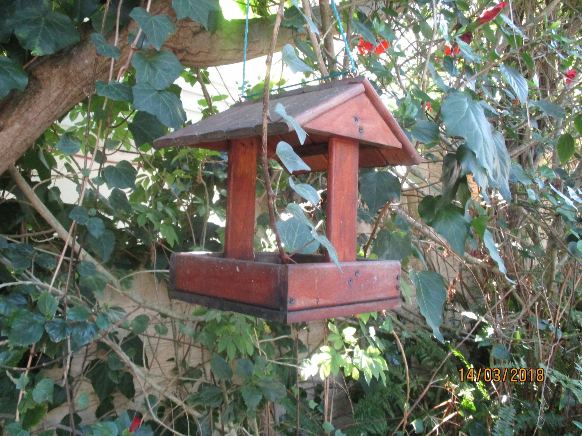 Knysna Herons Guest House Ngoại thất bức ảnh